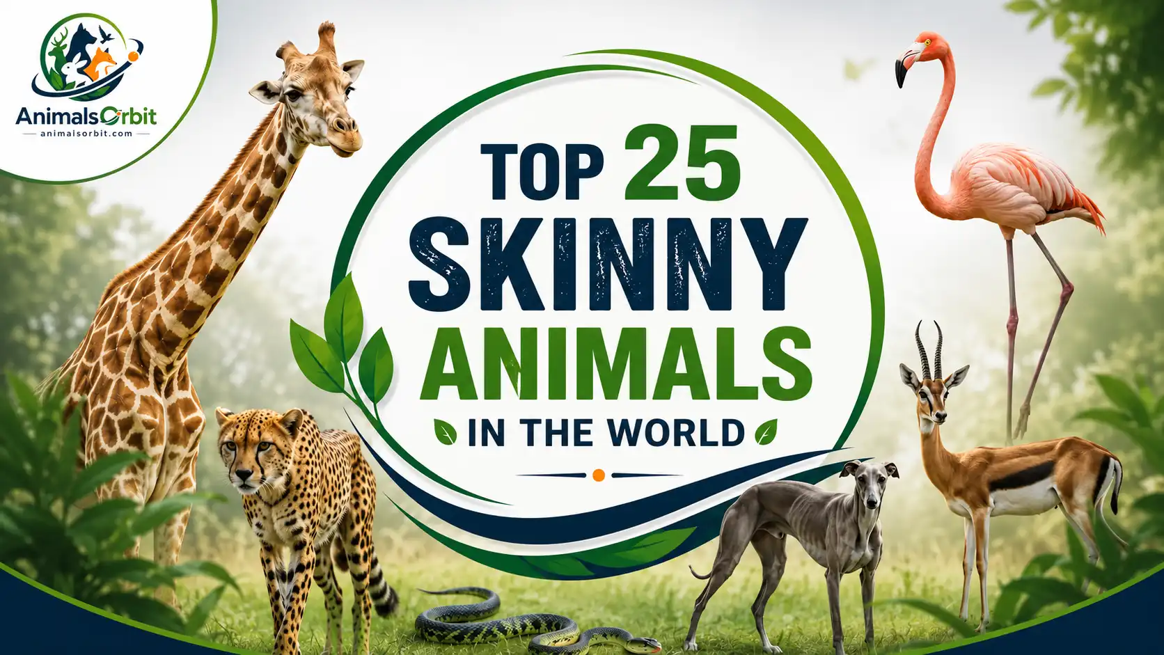 Skinny Animals in the World